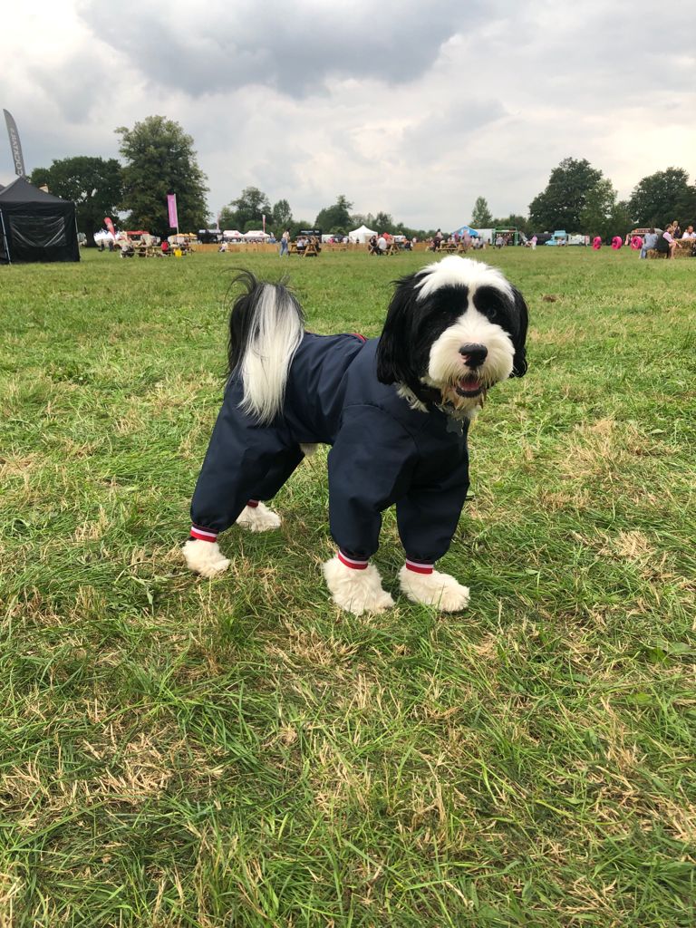 Soggy dog walks don't have to mean soggy dogs!