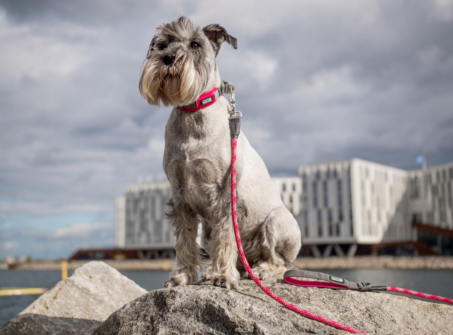 DOG Copenhagen Rope Leash, 160cm