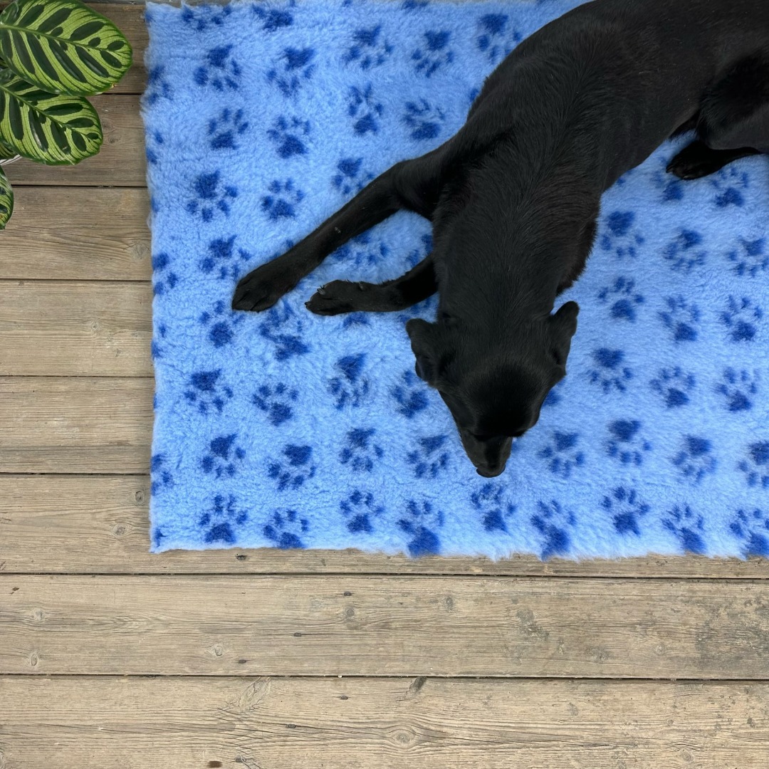 Blue With Dark Blue Paw Non-Slip Vet Bedding Whelping Fleece Dog Puppy Bed  2m x 75cm Roll