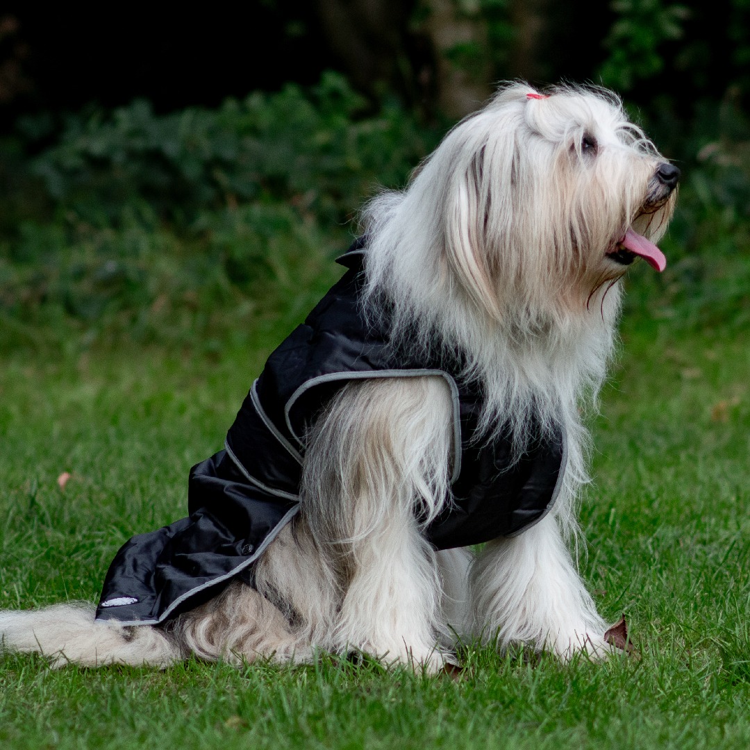 Ancol Muddy Paws Stormguard Black Waterproof Fleece Dog Coat