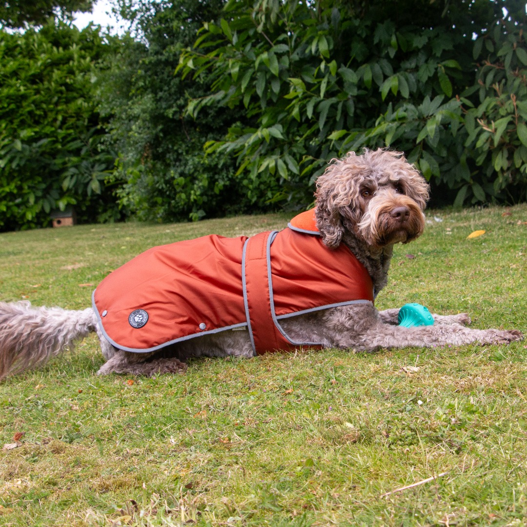 Ancol Muddy Paws Stormguard Terracotta Waterproof Fleece Lined Dog Coat