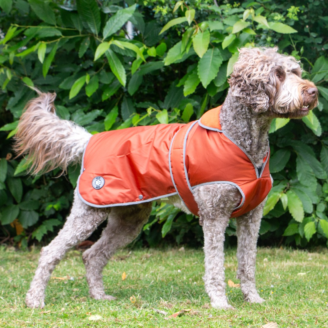 Ancol Muddy Paws Stormguard Terracotta Waterproof Fleece Lined Dog Coat