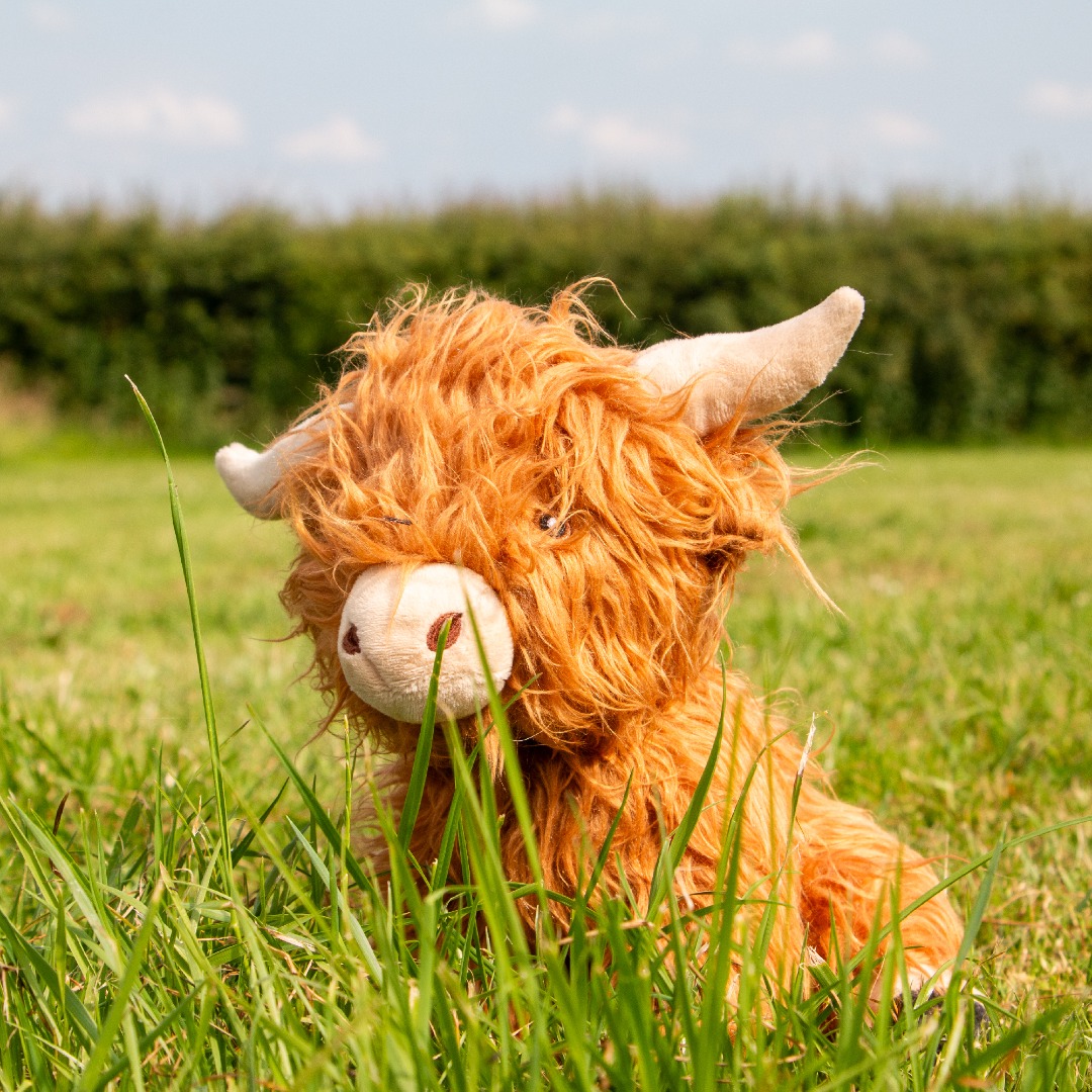 Ancol Heritage Fergus Highland Cow