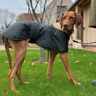 Water & Windproof Greyhound Hunter Dog Coat