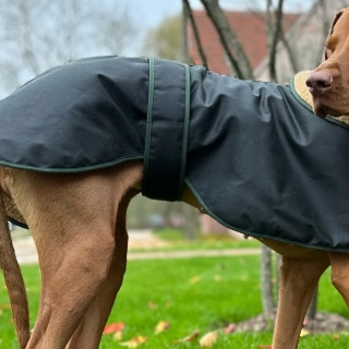 Water & Windproof Greyhound Hunter Dog Coat