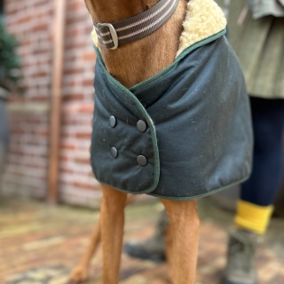 Water & Windproof Greyhound Hunter Dog Coat