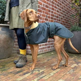 Water & Windproof Greyhound Hunter Dog Coat