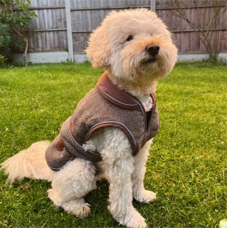 HugglePets Legacy Herringbone Dog Coat