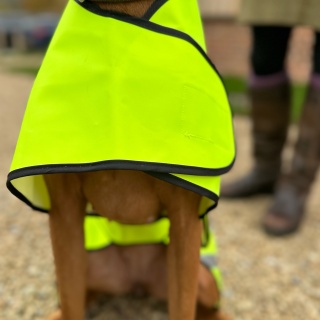 Hi-visibility Waterproof Dog Safety Coat  Waterproof Fabric. Fluorescent Yellow