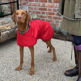 Waterproof Furlined All-Weather Dog Coat Made In England