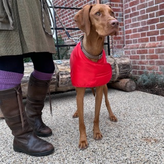 Waterproof Furlined All-Weather Dog Coat Made In England