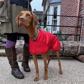 Waterproof Furlined All-Weather Dog Coat Made In England