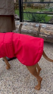 Waterproof Furlined All-Weather Dog Coat Made In England