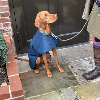 Waterproof Furlined All-Weather Dog Coat Made In England