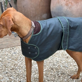 Traditional Hunter Green Waxed  Dog Coat