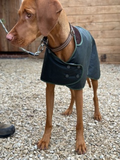 Traditional Hunter Green Waxed  Dog Coat