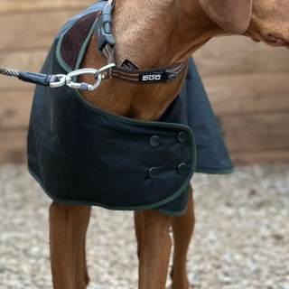 Traditional Hunter Green Waxed  Dog Coat