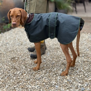 Traditional Hunter Green Waxed  Dog Coat