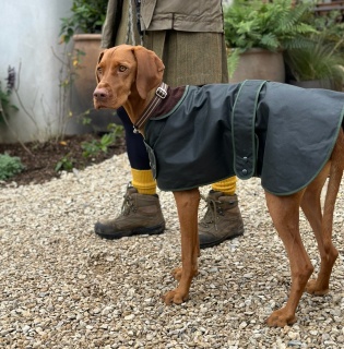 Traditional Hunter Green Waxed  Dog Coat