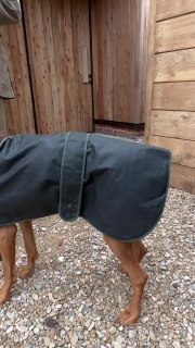 Traditional Hunter Green Waxed  Dog Coat