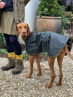 Traditional Hunter Green Waxed  Dog Coat