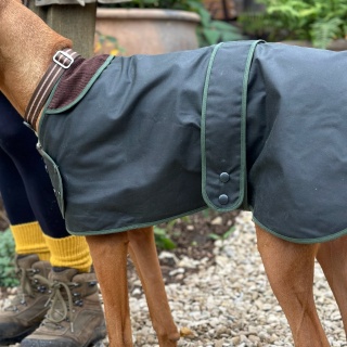 Traditional Hunter Green Waxed  Dog Coat