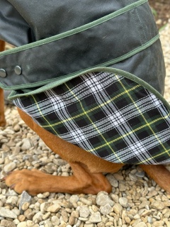 Traditional Hunter Green Waxed  Dog Coat