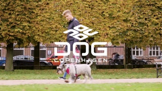 DOG Copenhagen Comfort Walk Pro Harness