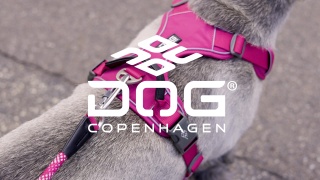 DOG Copenhagen Rope Leash, 160cm