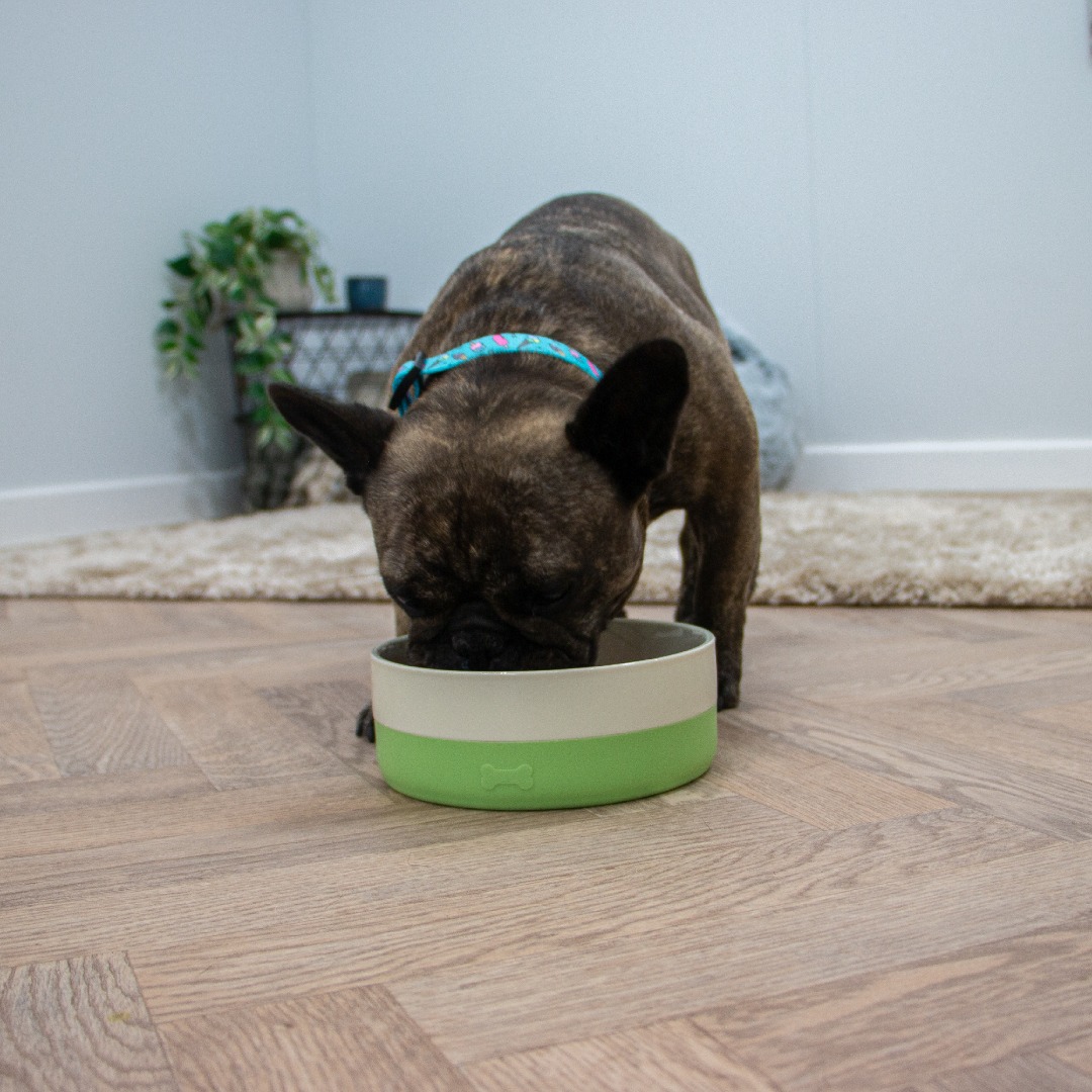 Ancol Ceramic Dog Bowl With Non-Slip Silicone Base