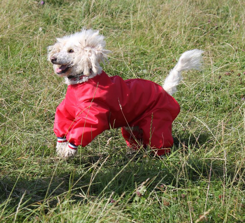 footless pram suit